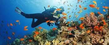 【多彩墨西哥】墨西哥最壮观的潜水胜地